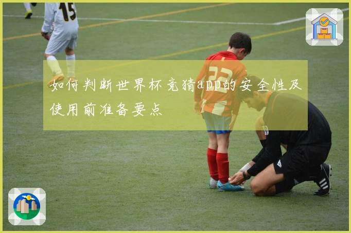 如何判断世界杯竞猜app的安全性及使用前准备要点