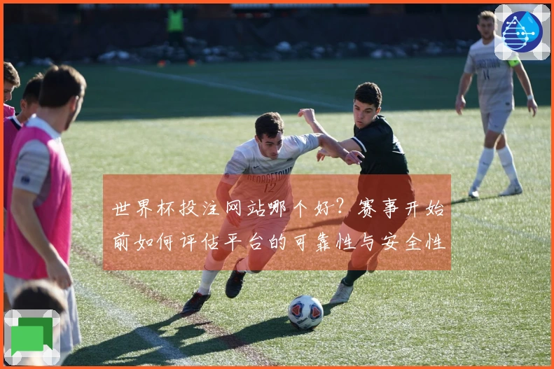 世界杯投注网站哪个好？赛事开始前如何评估平台的可靠性与安全性
