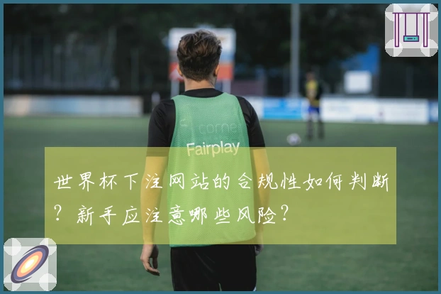 世界杯下注网站的合规性如何判断？新手应注意哪些风险？