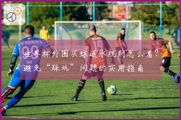 世界杯外围买球返水规则怎么看？避免“踩坑”问题的实用指南