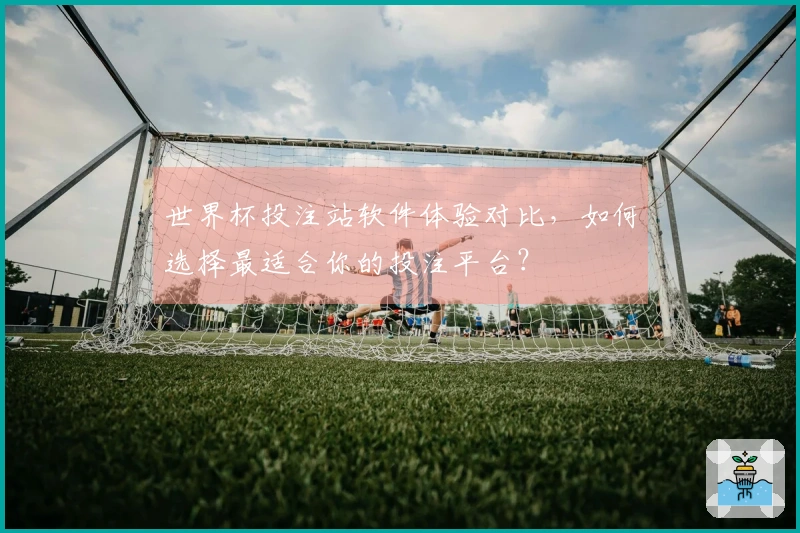 世界杯投注站软件体验对比，如何选择最适合你的投注平台？